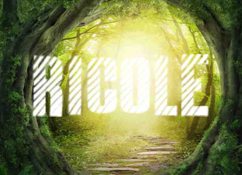 Project - Ricole